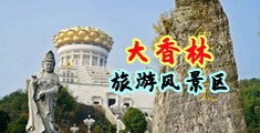 黄色草逼草比网站中国浙江-绍兴大香林旅游风景区